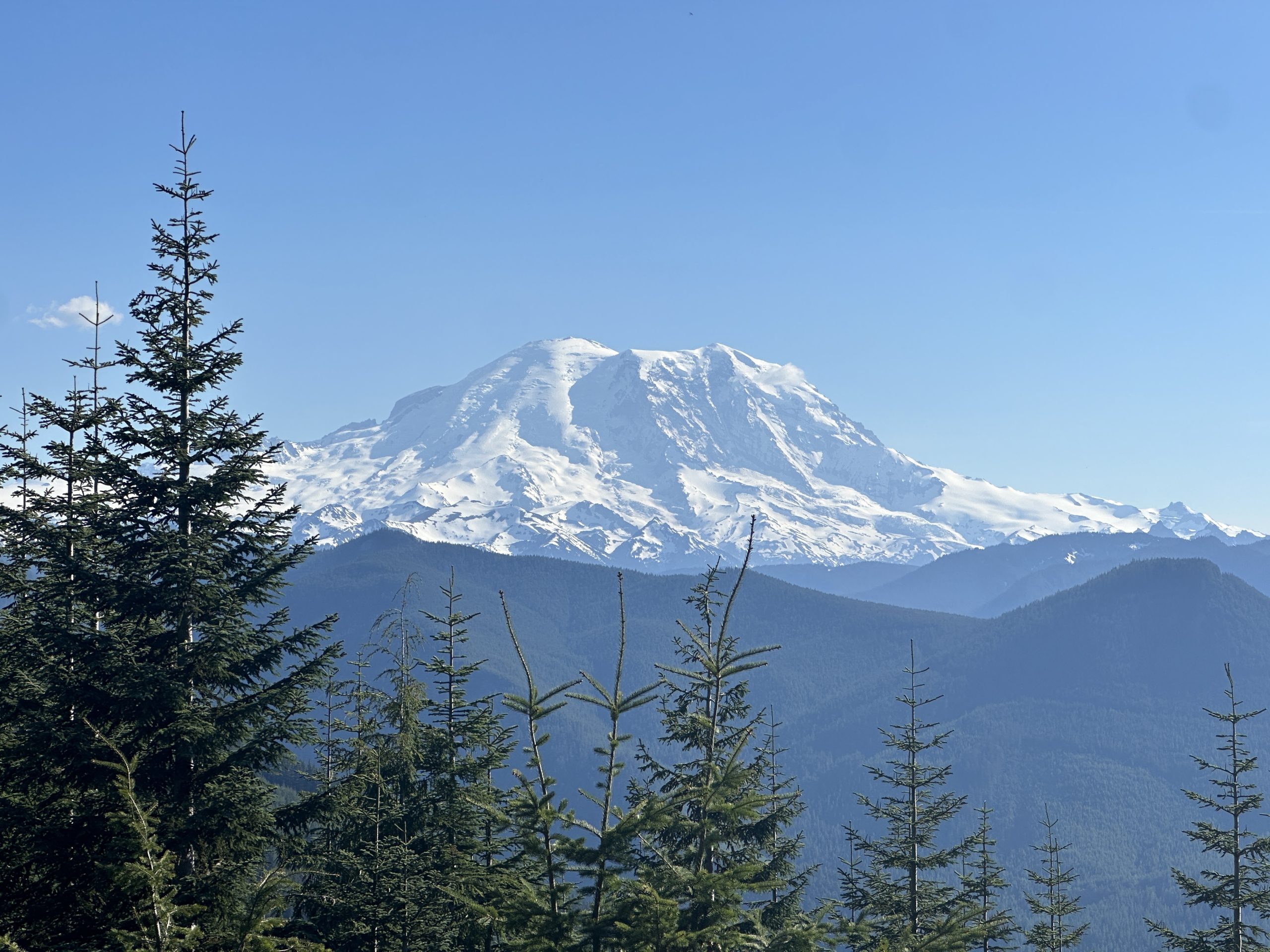 Mount Rainier Views